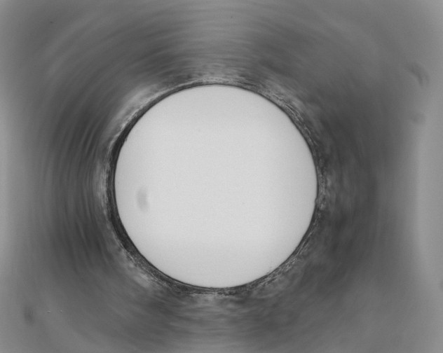 X0000110320098200906111501