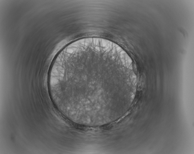 X0000110320099200906111501