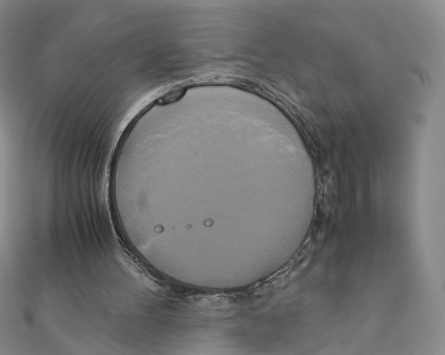 X0000110320100200906111501