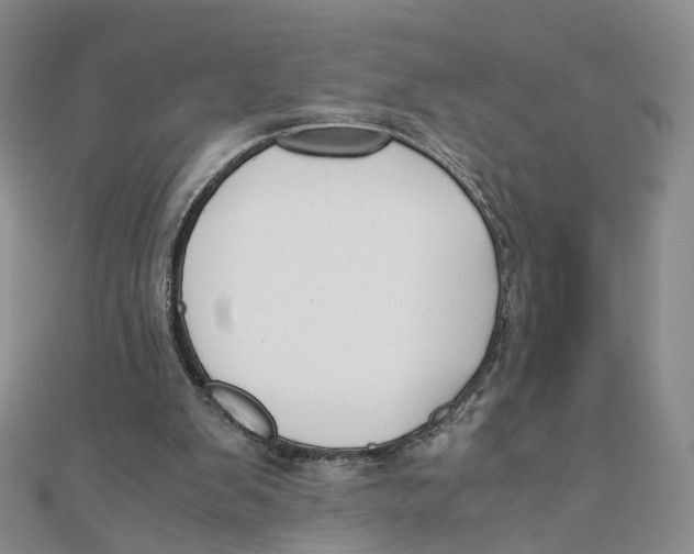 X0000110320103200906111501