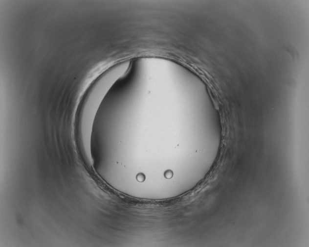 X0000110320104200906111501