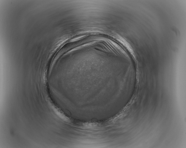 X0000110320105200906111501