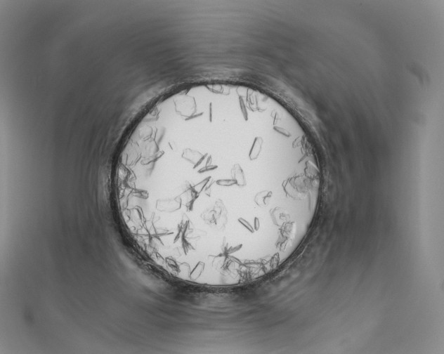 X0000110320107200906111500