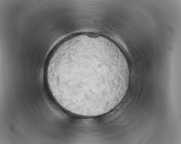 X0000110320108200906111500