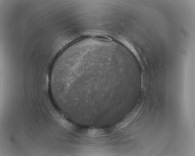 X0000110320109200906111500