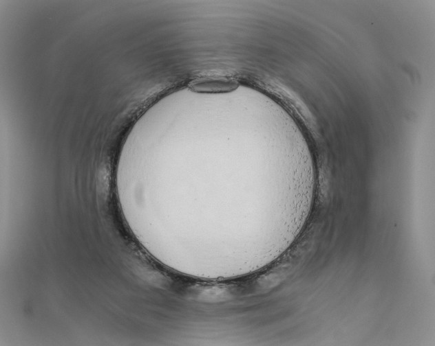 X0000110320113200906111500