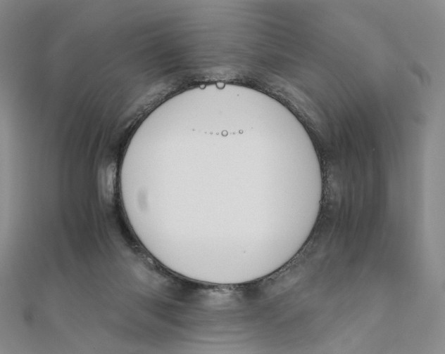 X0000110320118200906111500