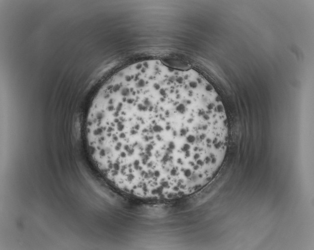 X0000110320120200906111500