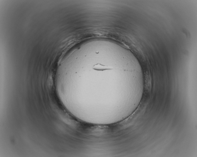 X0000110320128200906111500