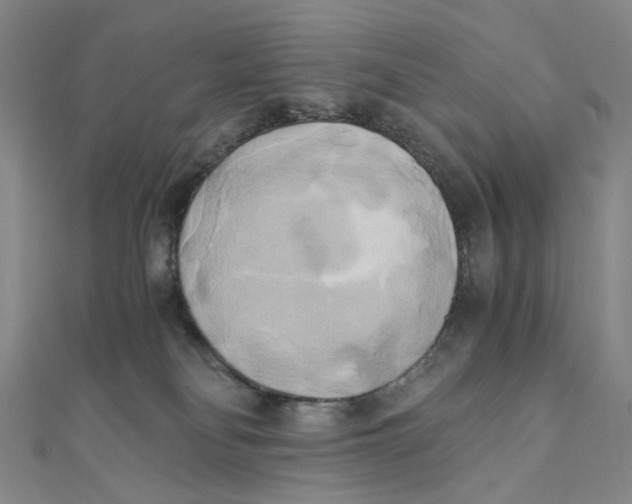 X0000110320134200906111500