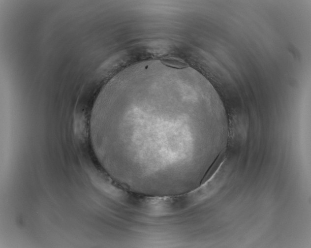 X0000110320136200906111500