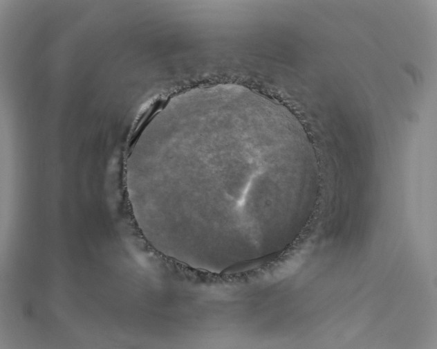 X0000110320144200906111500