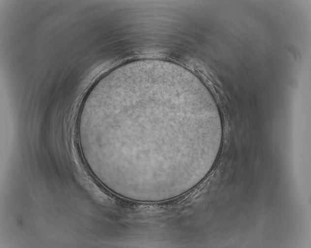 X0000110320145200906111459