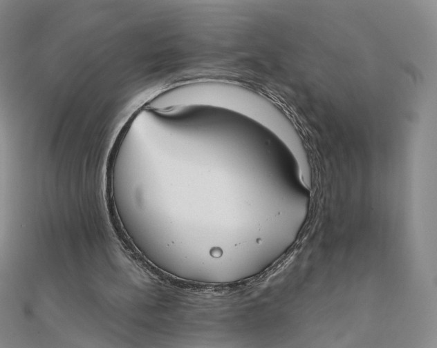 X0000110320148200906111459