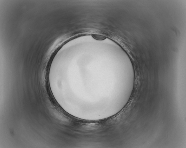 X0000110320151200906111459