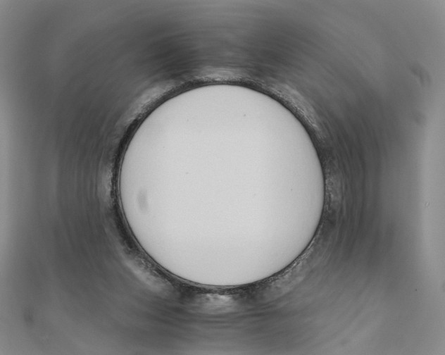 X0000110320159200906111500