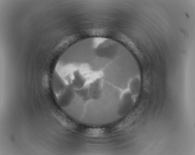 X0000110320161200906111500