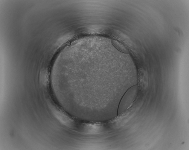 X0000110320164200906111500