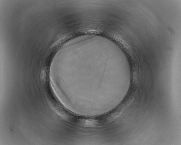 X0000110320165200906111500