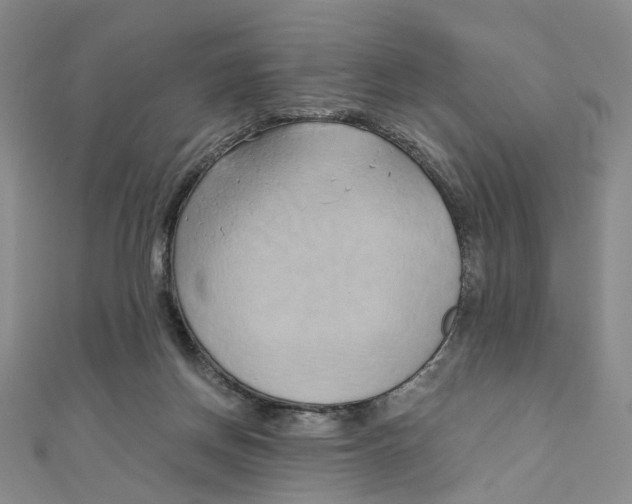 X0000110320166200906111500