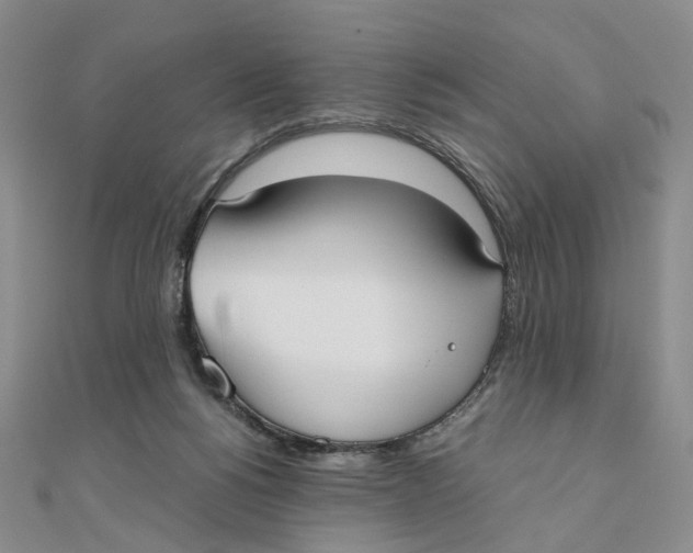 X0000110320168200906111500