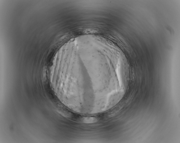 X0000110320169200906111500