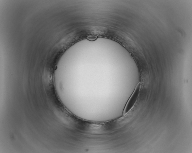 X0000110320176200906111500