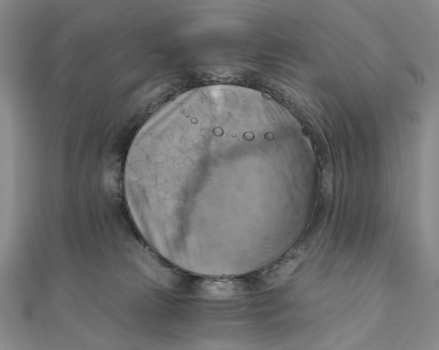 X0000110320181200906111500