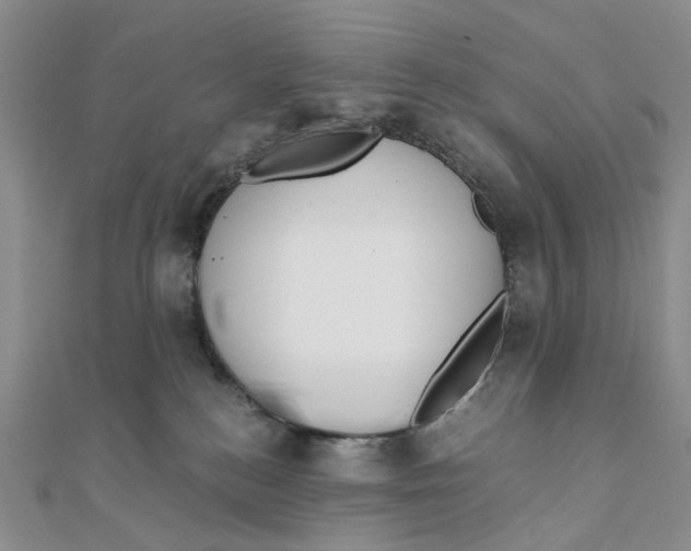 X0000110320184200906111500