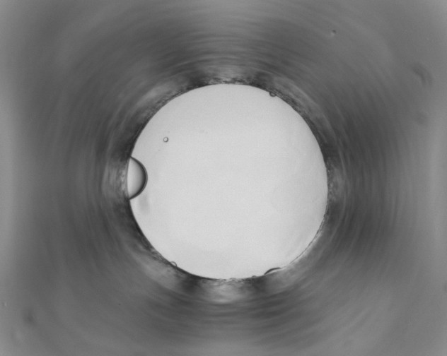 X0000110320191200906111500