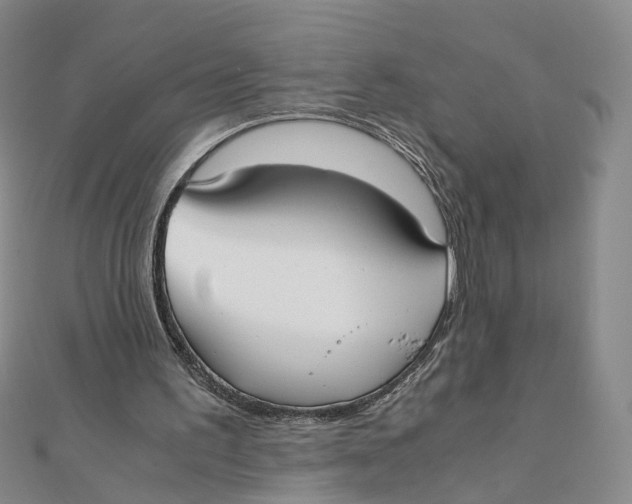 X0000110320195200906111459