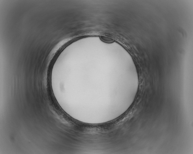 X0000110320200200906111459