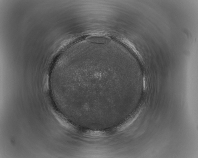 X0000110320205200906111459