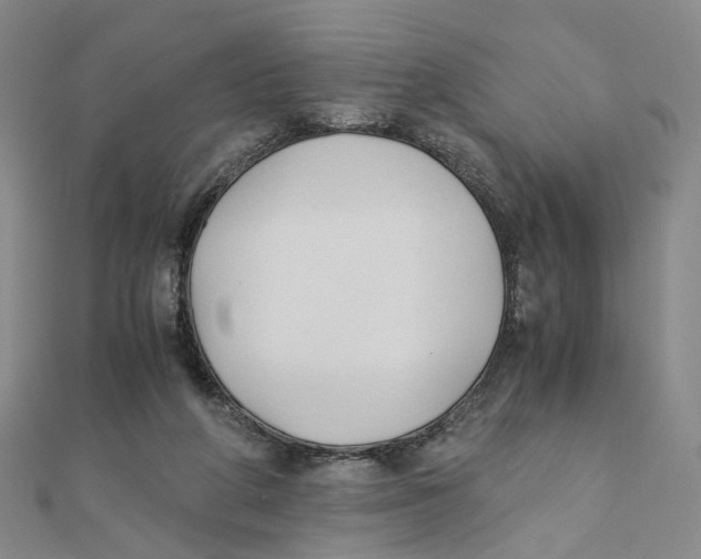 X0000110320210200906111459