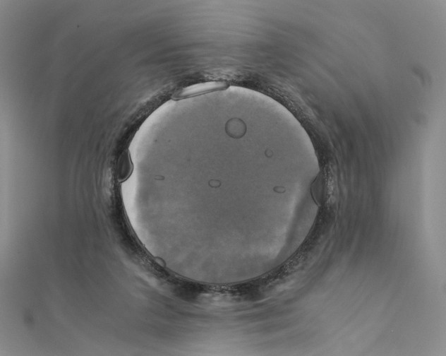 X0000110320211200906111459