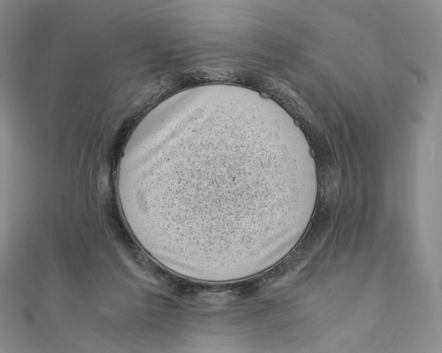 X0000110320213200906111459