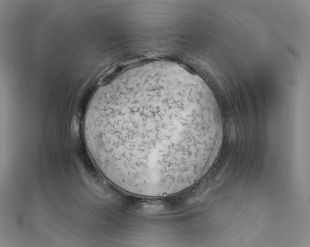 X0000110320214200906111459