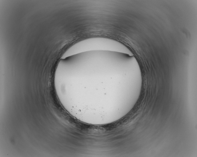 X0000110320215200906111459