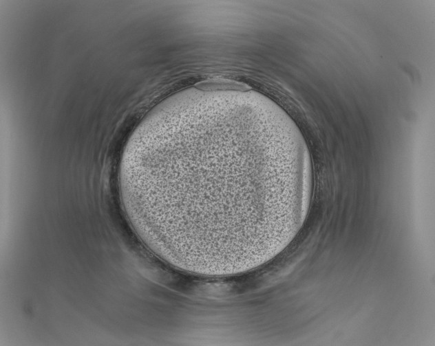 X0000110320217200906111459