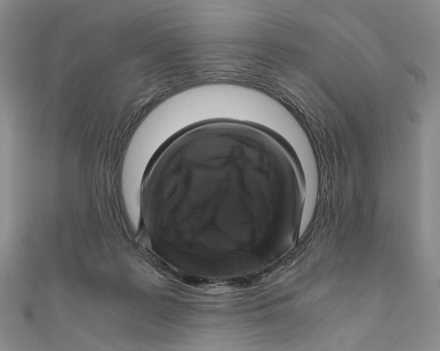 X0000110320219200906111459