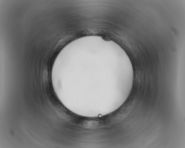 X0000110320220200906111459