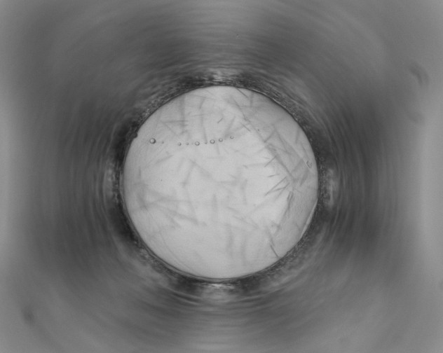 X0000110320222200906111459