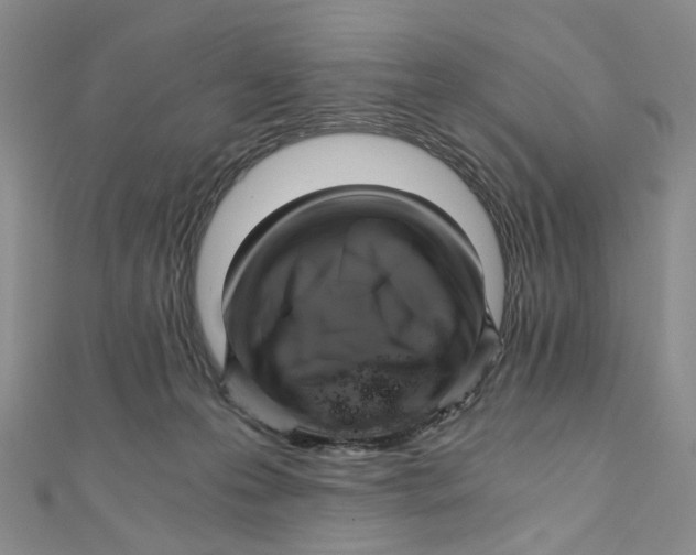 X0000110320223200906111459