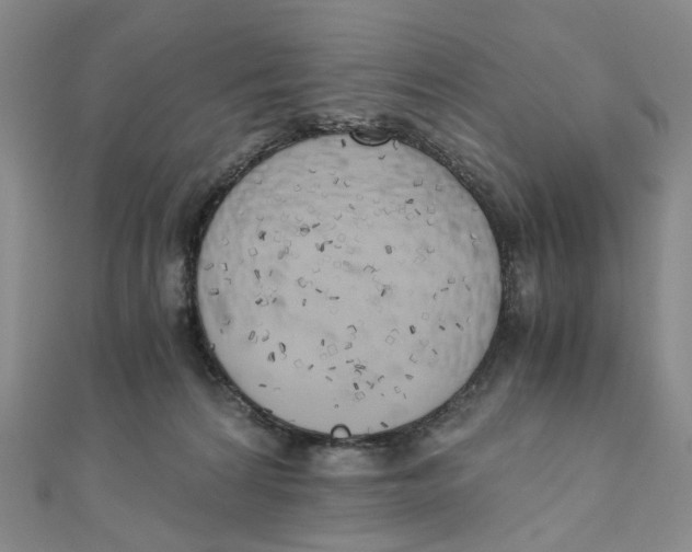 X0000110320224200906111459