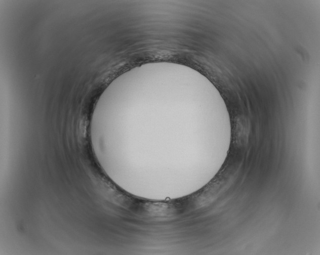 X0000110320230200906111459