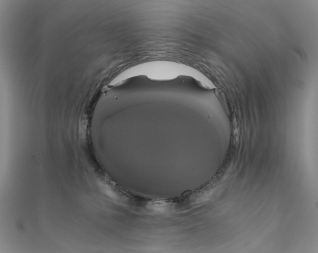 X0000110320231200906111459