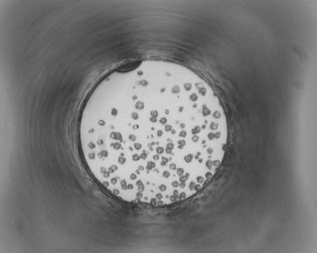 X0000110320241200906111458