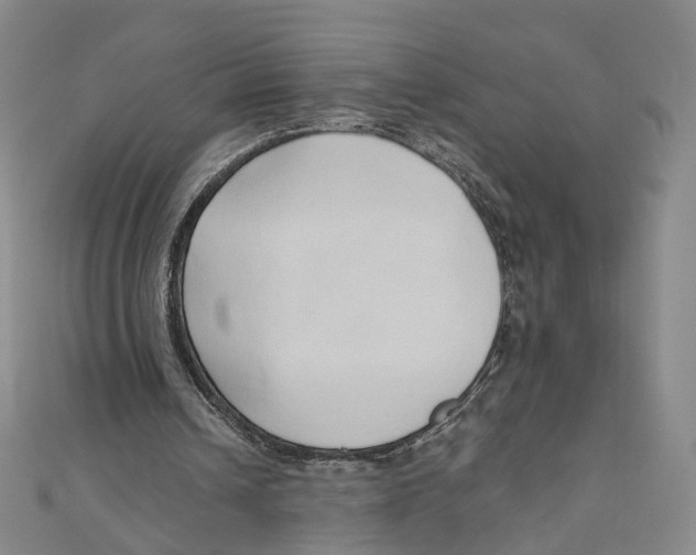 X0000110320242200906111458