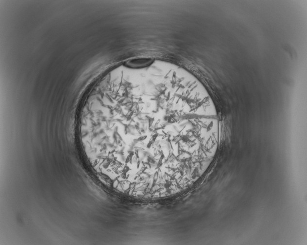 X0000110320243200906111458