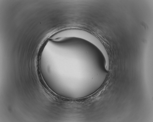 X0000110320244200906111458